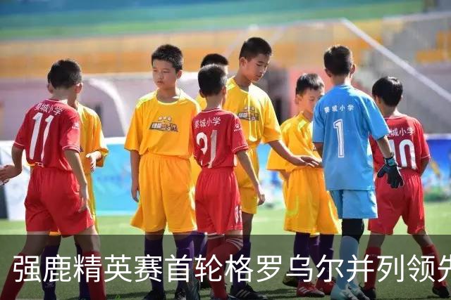 强鹿精英赛首轮格罗乌尔并列领先 李昊桐窦泽成T21