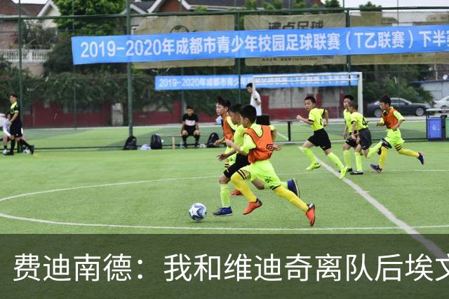 费迪南德：我和维迪奇离队后埃文斯能力最强